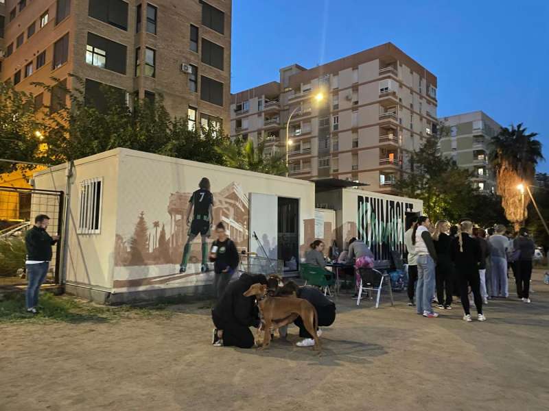 Vista parcial de unas instalaciones del Sporting Benimaclet, un club de barrio de segunda regional que recibe en su campo animales en acogida, por la dana. EFEL.Benlloch
