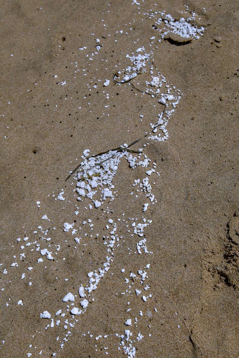 Detalle del material blanco aparecido en la playa de Guardamar de la Safor. EFENatxo Francs
