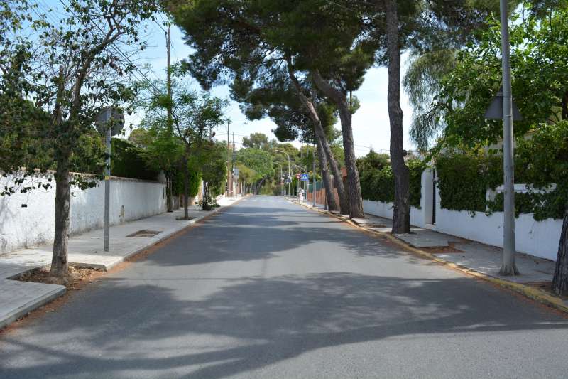 Una calle con arbolado en Paterna. EPDA
