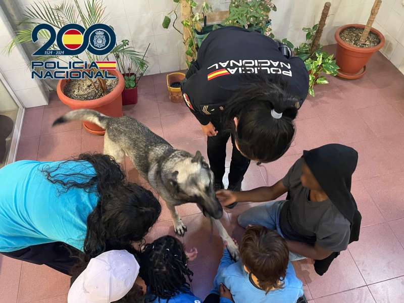 Exhibicin de la Polica Nacional en el Centro de Da Luisa de Marillac de Valencia.EPDA