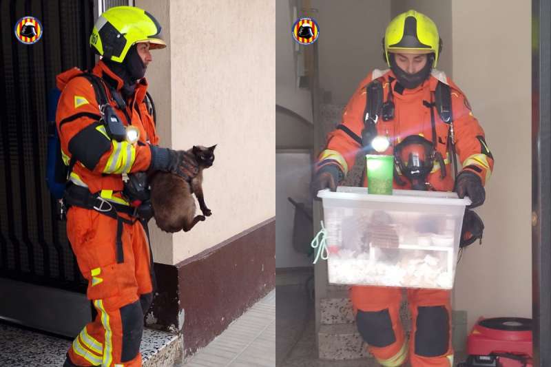 Bombers del Consorci Provincial de Val�ncia rescaten mascotes en un incendi de vivenda a Alzira.  EPDA
