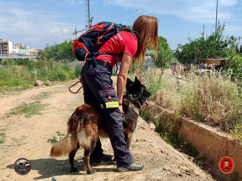 Los bomberos de Valencia participan en la bsqueda. EPDA