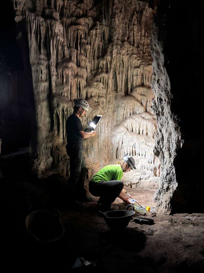 Cueva Merinel. EPDA