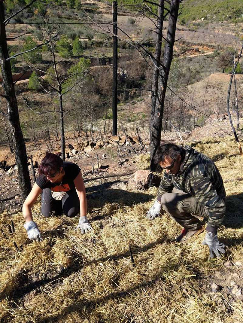 Un equipo de voluntarios limpia el monte quemado de Gátova