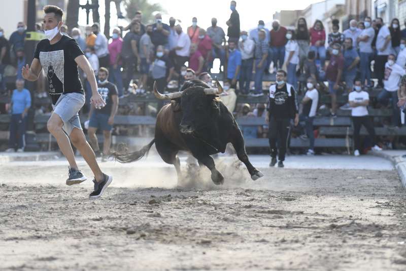 Un recortador mueve al toro en Rafelbunyol. Rubén Amaya