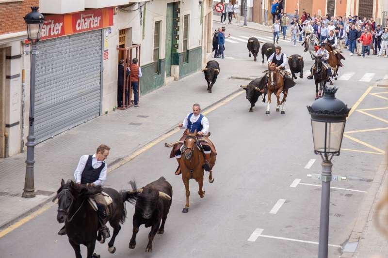 Tradicional entr de toros con caballo.  EPDA