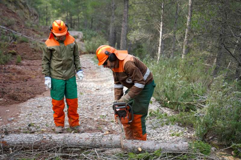 Las BRIFO del Consorcio Provincial de Bomberos han revisado caminos rurales con pequeos derrumbes y han retirado rboles, piedras y dems obstculos en unos trabajos realizados de forma intensiva en diez das