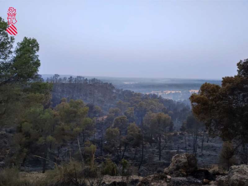 Imagen de la zona afectada por incendio del Centro de Emergencias de la Generalitat. /EFE

