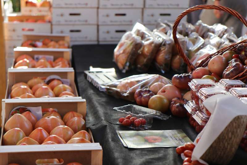 Feria del Tomate de El Perell.  EPDA 