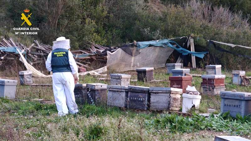 La Guardia Civil ha detenido a un hombre por sustraer 112 colmenas de abejas de varios municipios, la mayor parte de la comarca de la Canal de Navarr�s. EFEGuardia Civil
