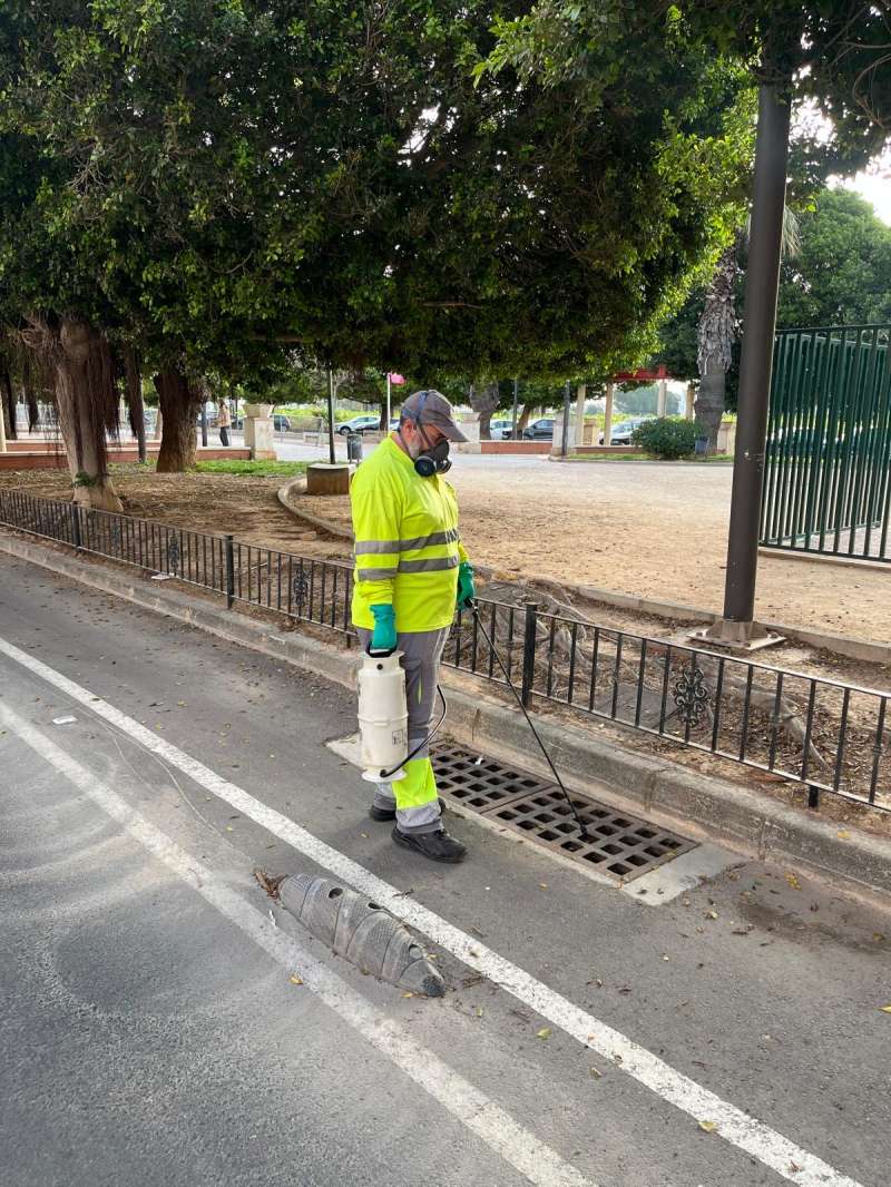 Treballs de prevenci� a Algemes� davant la possible aparici� del mosquit tigre.  EPDA