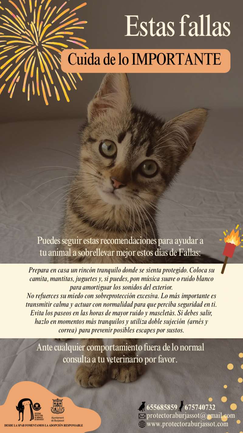 Cartel cuida de lo importante. EPDA