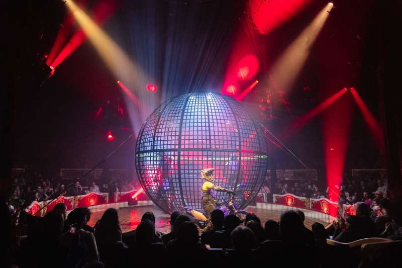 El Circo Raluy Legacy | EPDA
