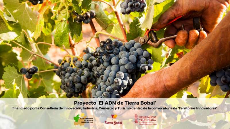 La Mancomunidad Interior Tierra del Vino mide el impacto sostenible de sus municipios.EPDA