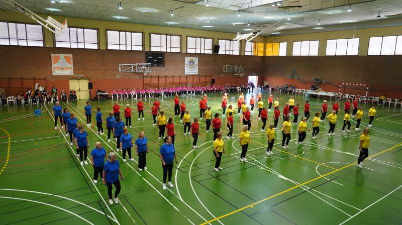 El taller de gimnstica per a majors. EPDA