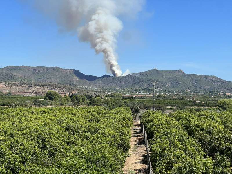 Columna de humo en la Calderona este sábado. / EPDA