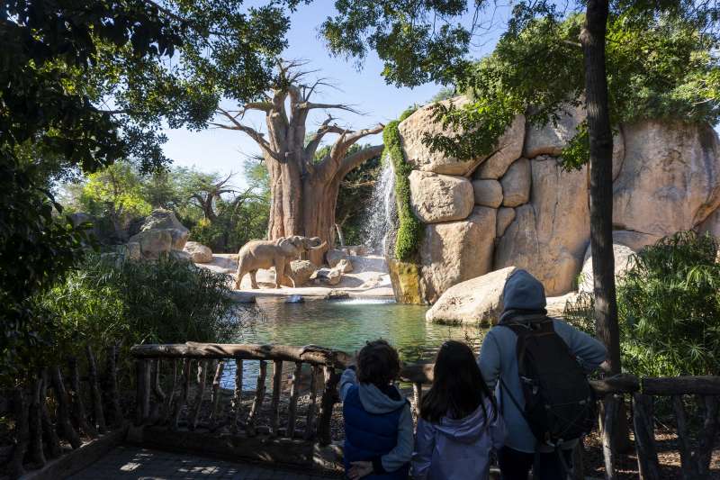 Desde hoy 2 de diciembre est disponible BIONadal, la promocin infantil (4 a 12 aos) para visitar BIOPARC Valencia 1 da o 1 ao por el importe simblico de 1 euro que se dedicar a acciones solidarias a travs de la Fundacin BIOPARC EPDA