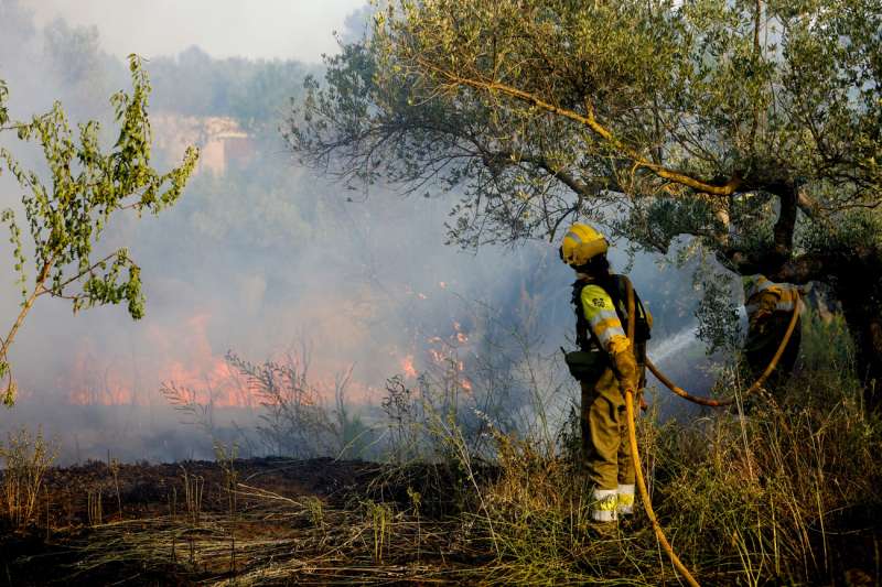 Medios terrestres trabajan en un incendio. Archivo/EFE/ Domenech Castelló