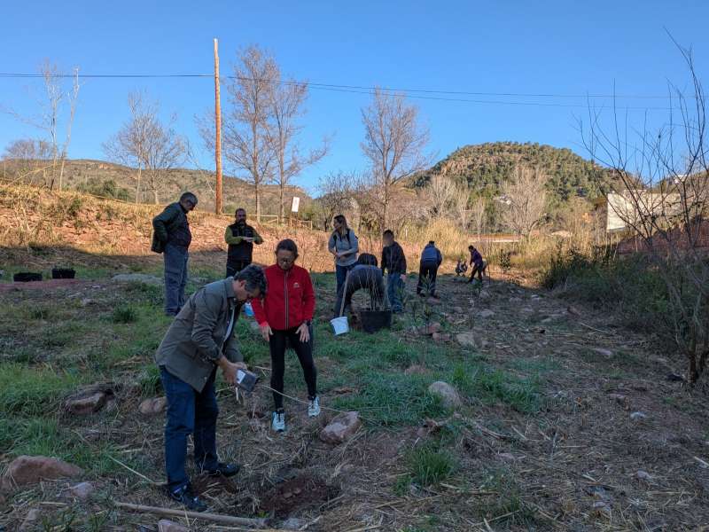 Activitat de repoblació al Barranc del Carraixet a Olocau./ EPDA