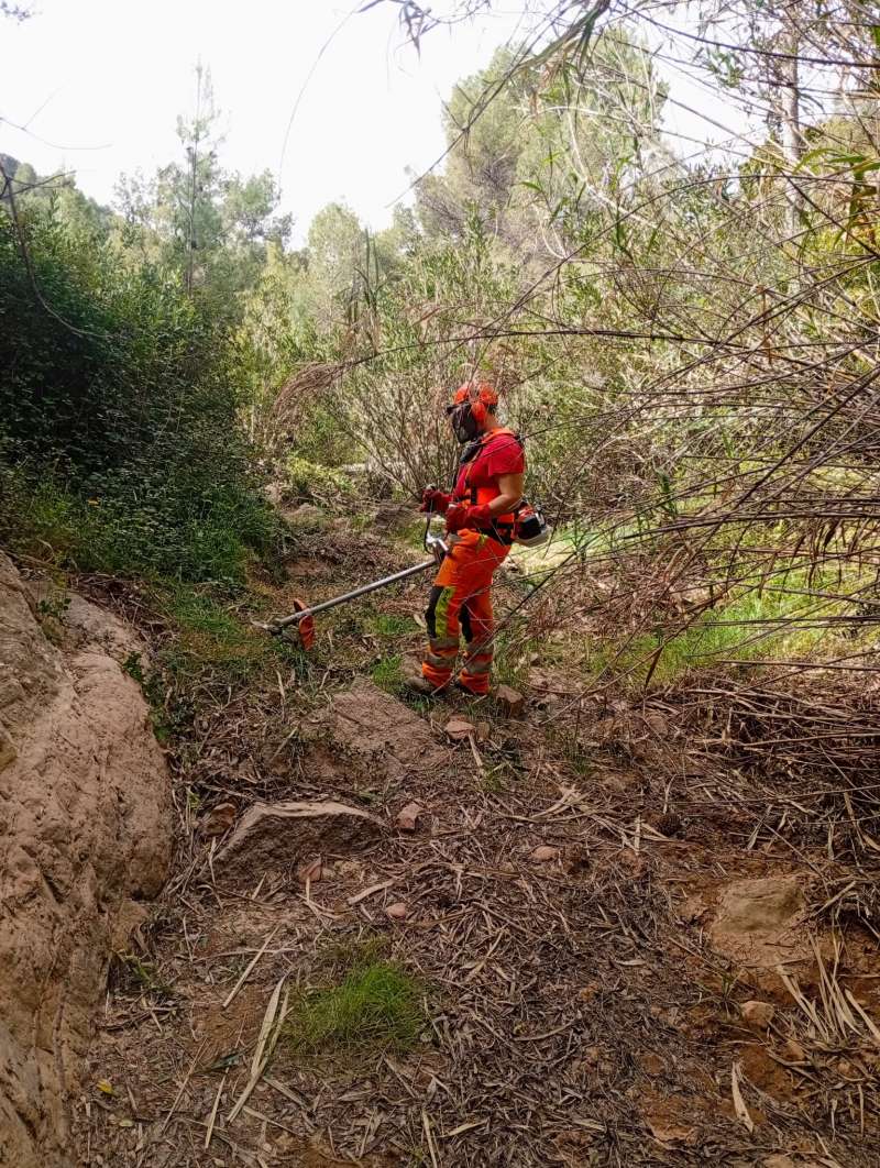 Trabajos de prevenci�n de incendios en Marines Viejo. EPDA
