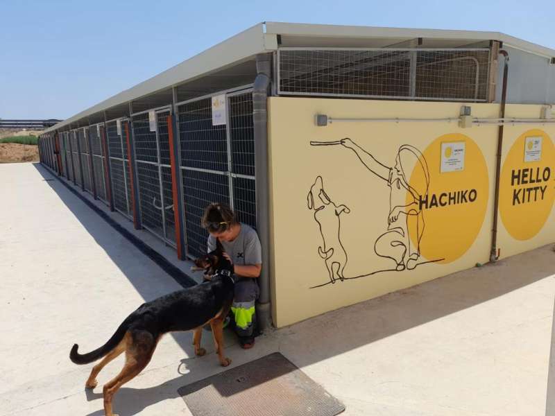 l nuevo Refugio, construido sobre una superficie de 3.400 m2,  cuenta con 1.000 m2 de boxes para perros y gatos, 2.000 m2 de zona verde para esparcimiento canino, así como una clínica veterinaria con quirófano /EPDA