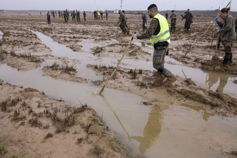 Efectivos de la Brigada 12 del ejrcito de Tierra en Madrid durante las labores de bsqueda de los desaparecidos por la dana del pasado 29 de octubre, en los arrozales de Catarroja, este lunes. EFE Kai Forsterling
