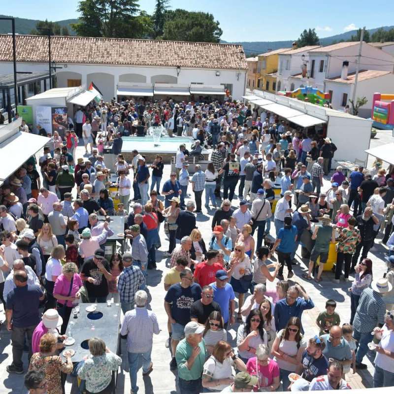 Edición anterior de la Feria de los Pueblos Amigos de Benagéber. /EPDA