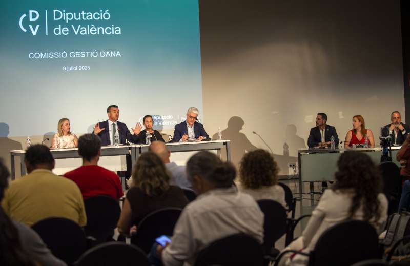 Pronunciament a la Diputaci de Valncia | EPDA