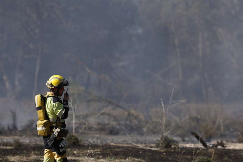 Un bombero trabaja en una zona afectada por un incendio forestal. EFEKai Frsterling

