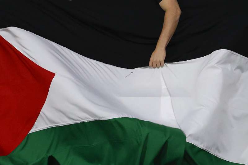 Una persona ondea una bandera palestina. EFEMauricio Dueas Castaeda
