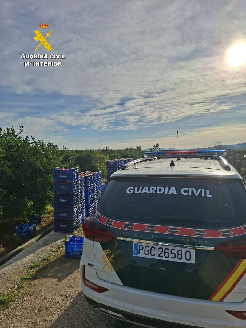 El equipo ROCA de Sueca ha colaborado con la polic�a local y guardia rural de Carcaixent.EPDA