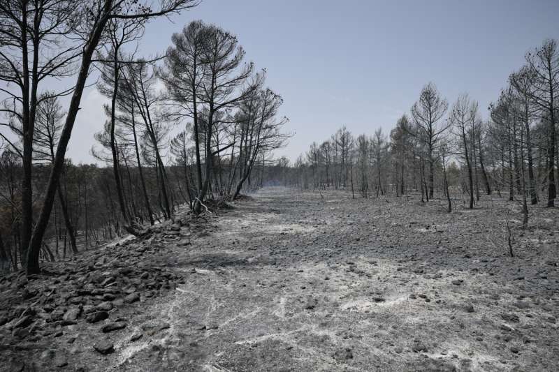 Imagen de archivo de la zona arrasada por el incendio en Venta del Moro, en el límite entre Valencia y Cuenca. /EFE /Biel Aliño 