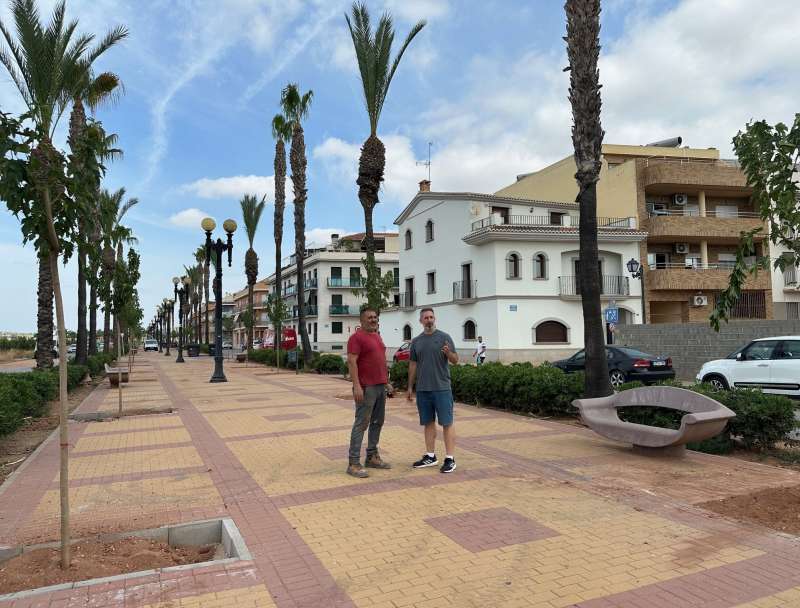Els nous arbres al passeig de lavinguda dEspanya. EPDA
