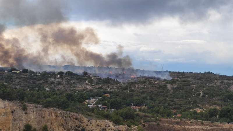 Incendi a la urbanització Almaguer dAlfarp. /TWITTER @PabloMonteroesc