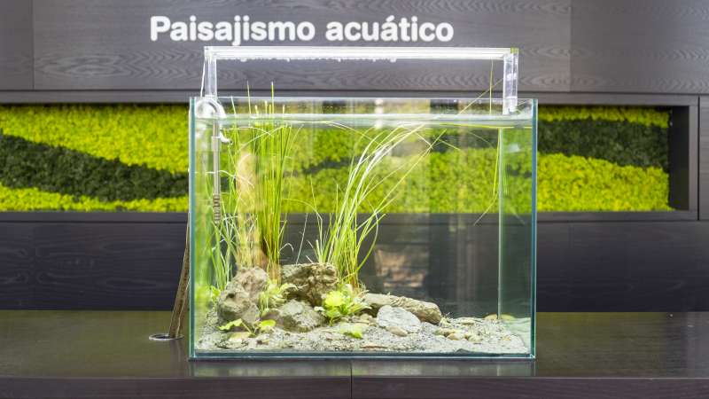 Muestra de uno de los acuarios que estarn presentes en el Oceanogrfic | EPDA