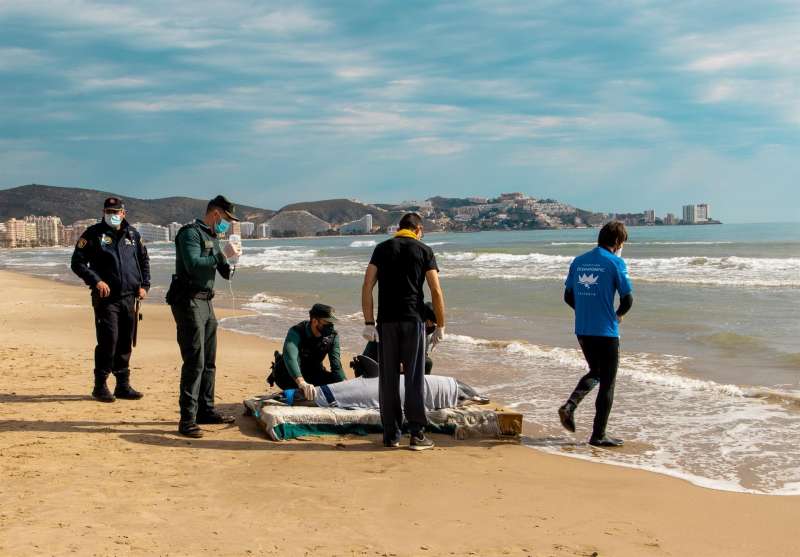 Esta mañana ha aparecido un delfín desorientado en la bahía de Cullera, que ha sido rescatado y devuelto al mar por el equipo de veterinarios del Oceanogràfic, Guardia Civil y Seprona, y la Policía Local. EFE