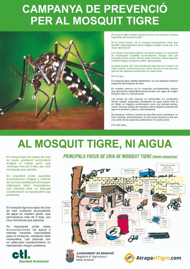 Campaña mosquito tigre Benifaió./EPDA