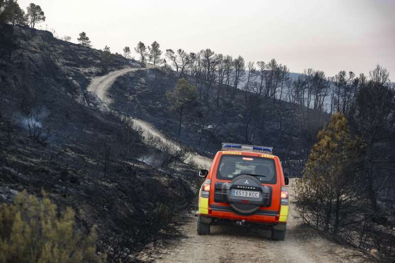 Un todoterreno de los bomberos circula por una pista en la zona incendiada en Teresa de Cofrentes (Valencia)  Foto: EFE
