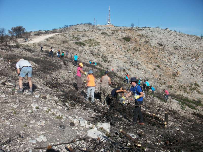 Los voluntarios realizan trabajos en el monte afectado por el incendio. EPDA