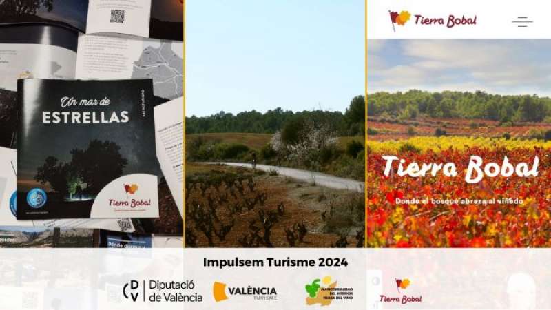 Proyecto de desarrollo del destino turstico Tierra Bobal.  EPDA