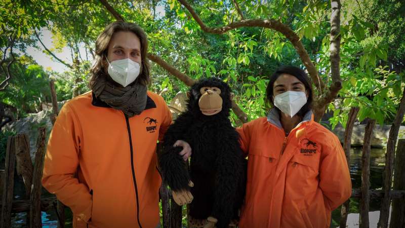 La Chimpacé Gombé es una de las protagonistas de la educación ambiental. /EPDA
