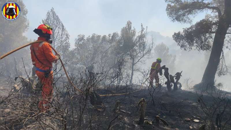 Los bomberos, trabajando sobre el terreno, en una imagen compartida por el Consorcio Provincial de Valencia.
