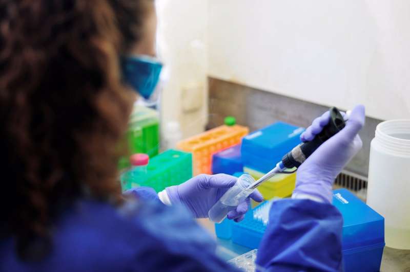 Investigadores de MicrobiologÃ­a analizando unas muestras. Archivo/EFE/Diego PÃ©rez Cabeza
