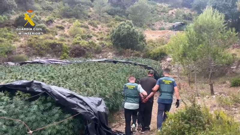Detencin realizada por la Guardia Civil en la plantacin de marihuana | Guardia Civil