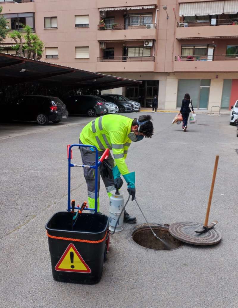 Refuerzo de tratamientos para control de plagas en Paterna.  EPDA