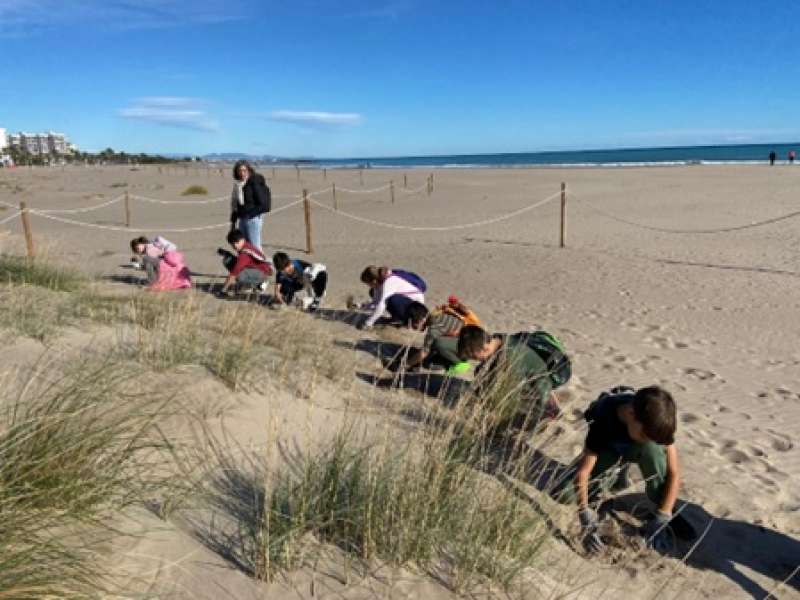 Escolares custodiando las playas./DIPUTACIÓ DE VALÈNCIA