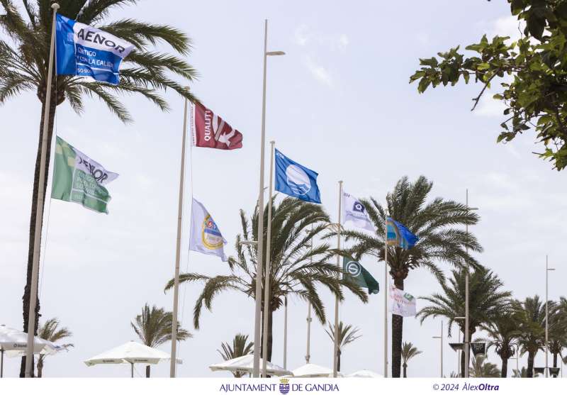 La platja de Gandia hissa les banderes  EPDA