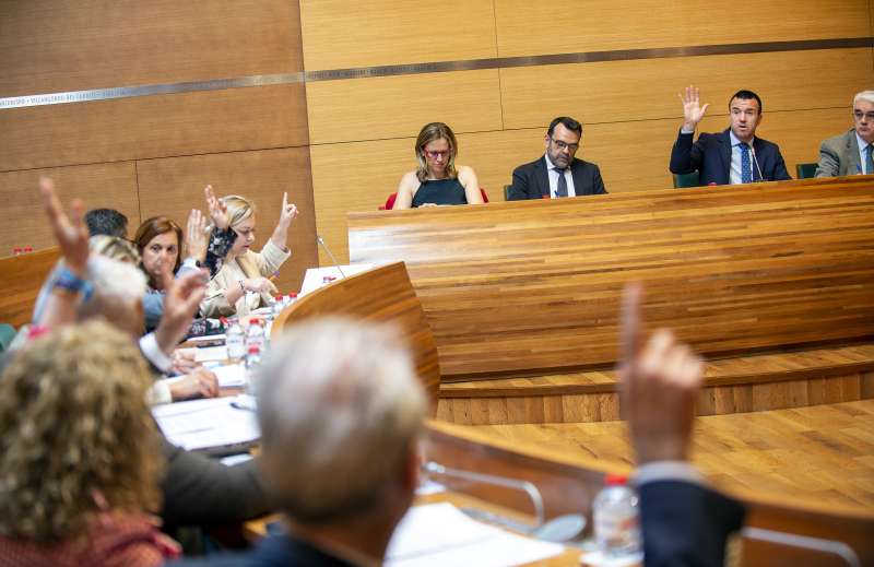 Imagen del pleno de la Diputacin de Valencia.  EPDA