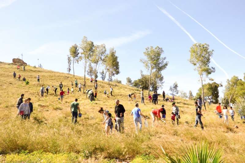 La reforestació colectiva de la muntanya de la Patà. EPDA