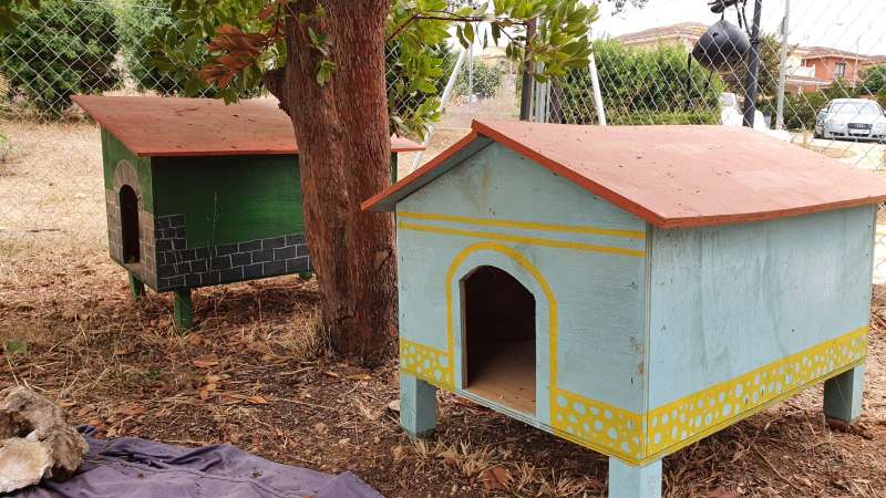 Refugio para gatos en Riba-roja de Tria.EPDA